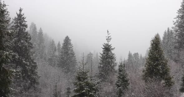 Snowfall in Winter Mountains