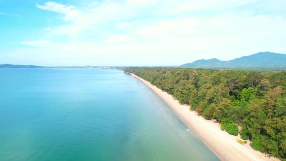 4K aerial view from a drone. Beautiful scenery of the coast with many pine trees.