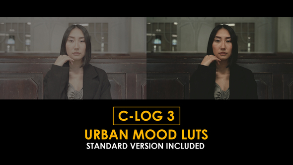 C-Log3 Urban Mood and Standard LUTs