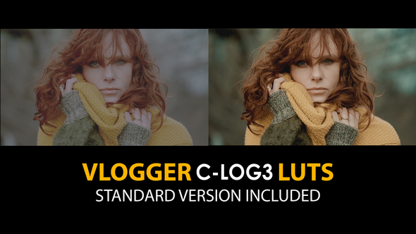 C-Log3 Vlogger and Standard LUTs