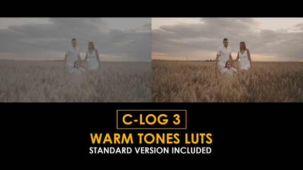 C-Log3 Warm Tones and Standard LUTs