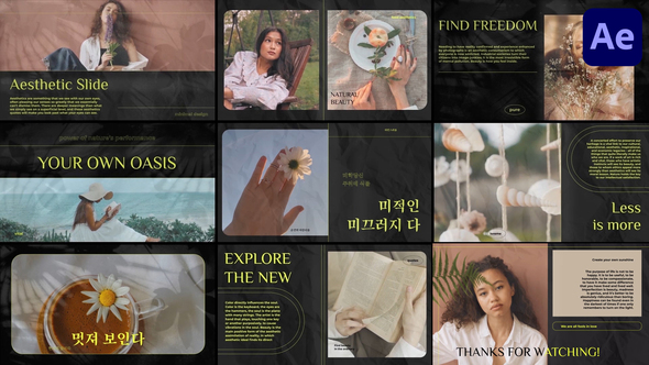 Aesthetic Slides for After Effects alt