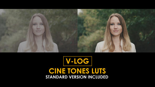 V-Log Cine Tones and Standard LUTs