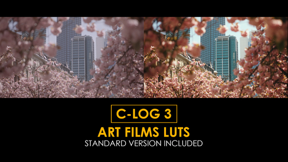 C-Log3 Art FIlm and Standard Color LUTs alt