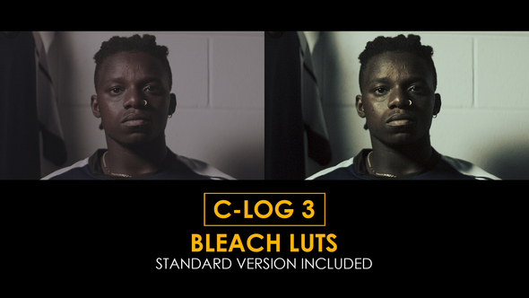 C-Log3 Bleach and Standard Color LUTs alt