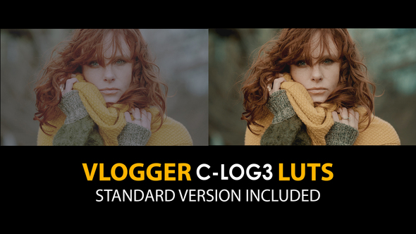 C-Log3 Vlogger and Standard Color LUTs