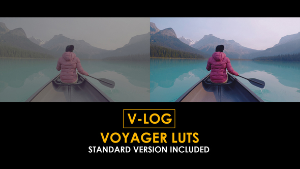 V-Log Voyager and Standard Color LUTs