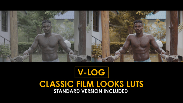 V-Log Classic Film Looks and Standard LUTs