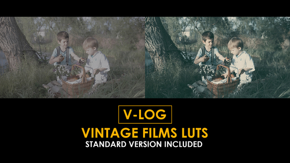 V-Log Vintage Film and Standard LUTs