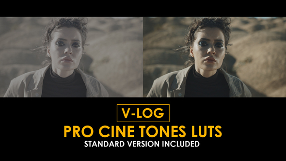 V-Log Pro Cine Tones and Standard LUTs