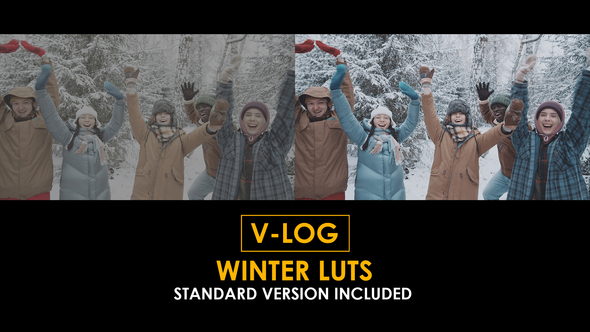 V-Log Winter and Standard LUTs