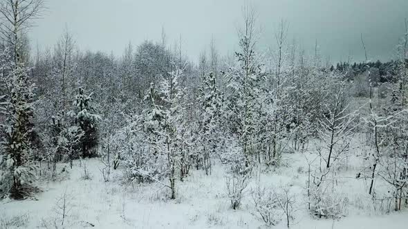 Winter River In The Village Of Verkhovye 11