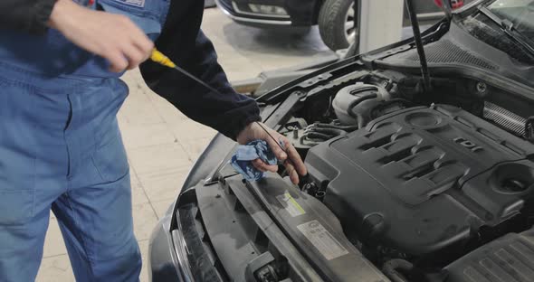 Car Mechanic Checking The Oil Level In A Car Engine With A Dipstick