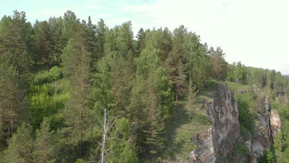 Take off on a cliff and forest