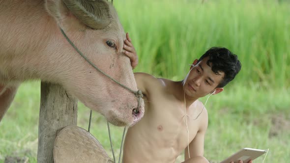 Asian Farmer With His Buffalo