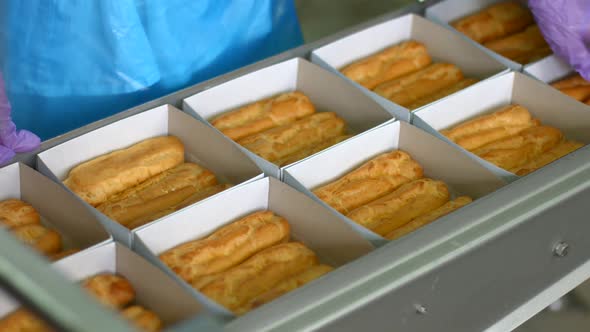 Boxes of Eclairs on Conveyor