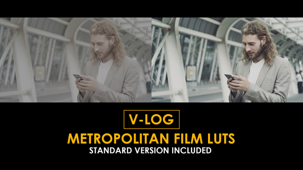 V-Log Metropolitan and Standard Color LUTs alt