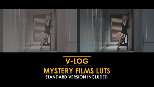 V-Log Mystery and Standard Color LUTs alt