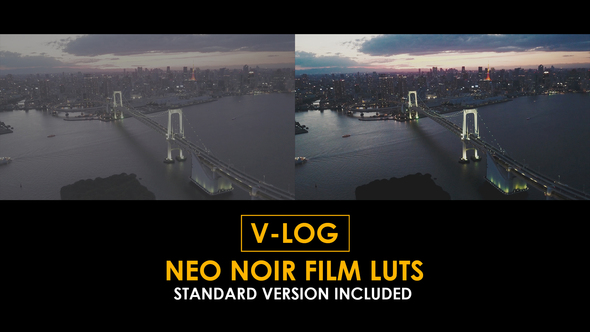 V-Log Neo Noir Film and Standard Color LUTs alt