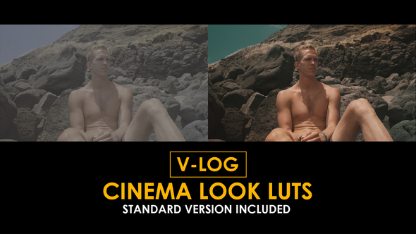 V-Log Cinema Look and Standard Color LUTs alt