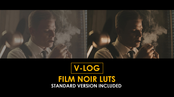 V-Log Film Noir and Standard Color LUTs alt