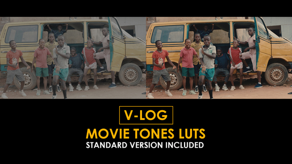V-Log Movie Tones and Standard Color LUTs alt
