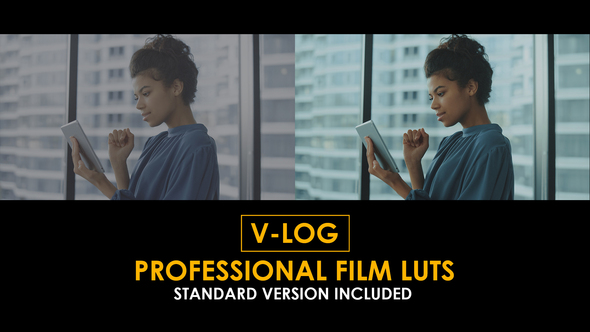 V-Log Professional Film and Standard Color LUTs
