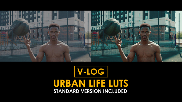 V-Log Urban Life and Standard Color LUTs alt