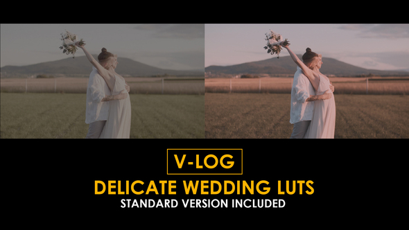 V-Log Delicate Wedding and Standard Color LUTs