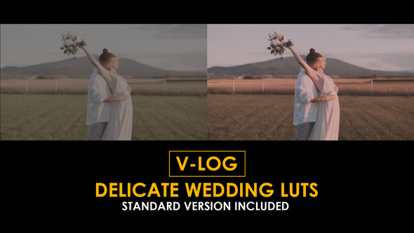 V-Log Delicate Wedding and Standard Color LUTs alt
