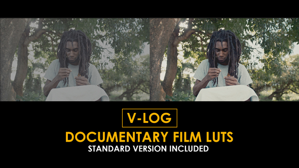 V-Log Documentary Film and Standard Color LUTs alt
