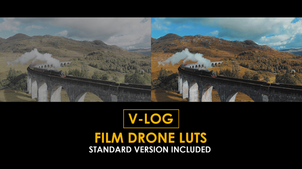 V-Log Film Drone and Standard Color LUTs alt
