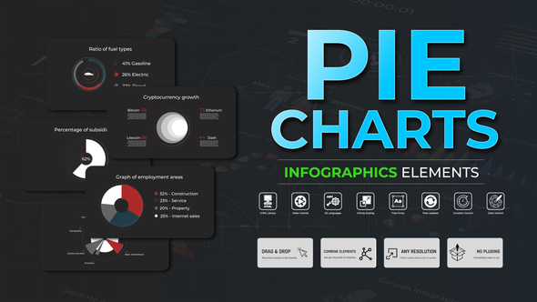 Infographic - Pie Charts