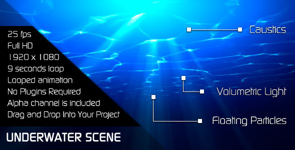 Beautiful Underwater Scene