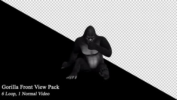 Gorilla Front View Pack