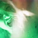Scary ghost woman screaming through dirty glass on dark background. - VideoHive Item for Sale