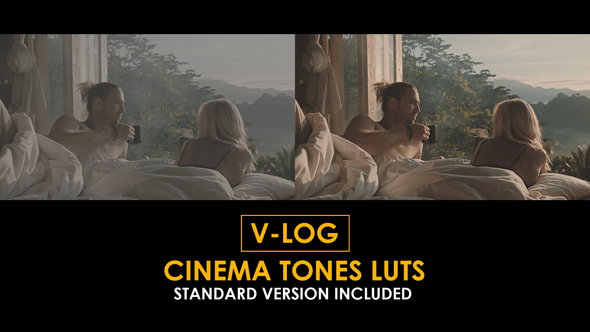 V-Log Cinema Tones and Standard LUTs