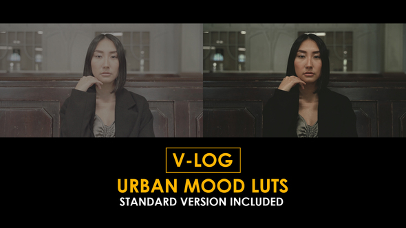 V-Log Urban Mood and Standard LUTs