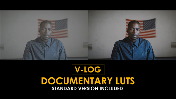 V-Log Documentary and Standard LUTs