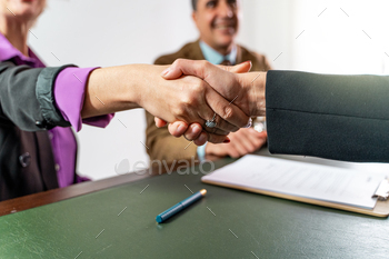 Successful Business Handshake - Partnership Agreement