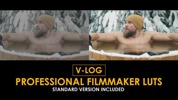 V-Log Professional Filmmaker and Standard LUTs alt