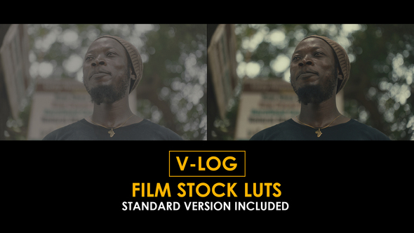V-Log Film Stock and Standard Color LUTs