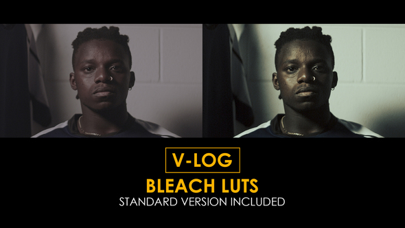 V-Log Bleach and Standard Color LUTs