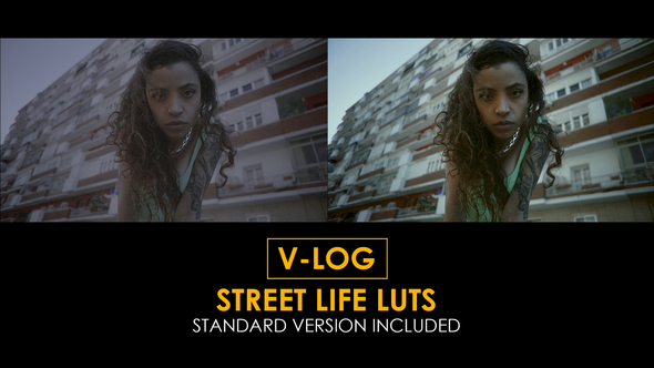 V-Log Street Life and Standard Color LUTs alt