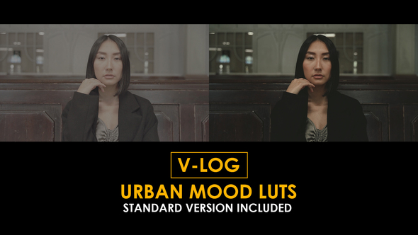 V-Log Urban Mood and Standard Color LUTs
