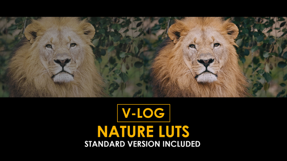 V-Log Nature and Standard Color LUTs
