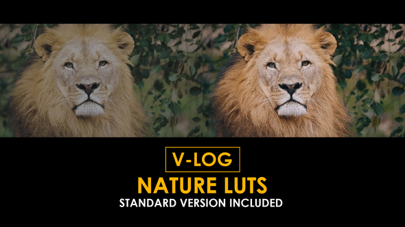 V-Log Nature and Standard Color LUTs alt