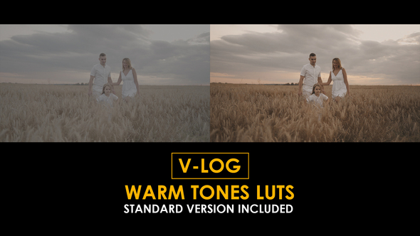 V-Log Warm Tones and Standard Color LUTs alt