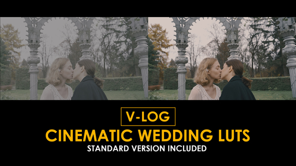 V-Log Cinema Wedding and Standard Color LUTs alt