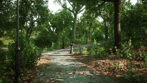 Empty Footpath in Park at Summer alt